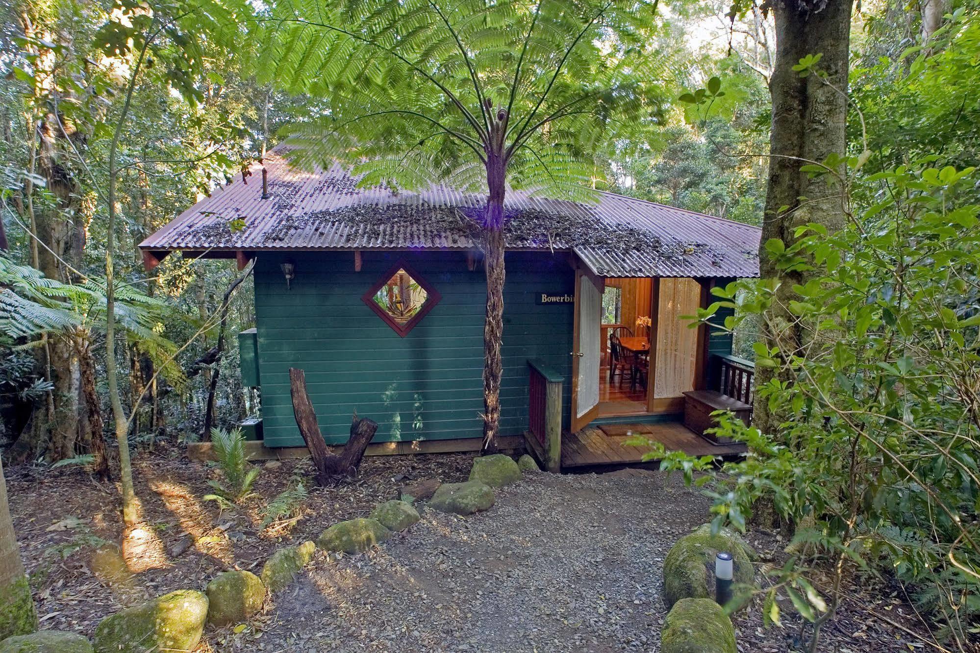 Springbrook Lyrebird Retreat Villa Exterior photo